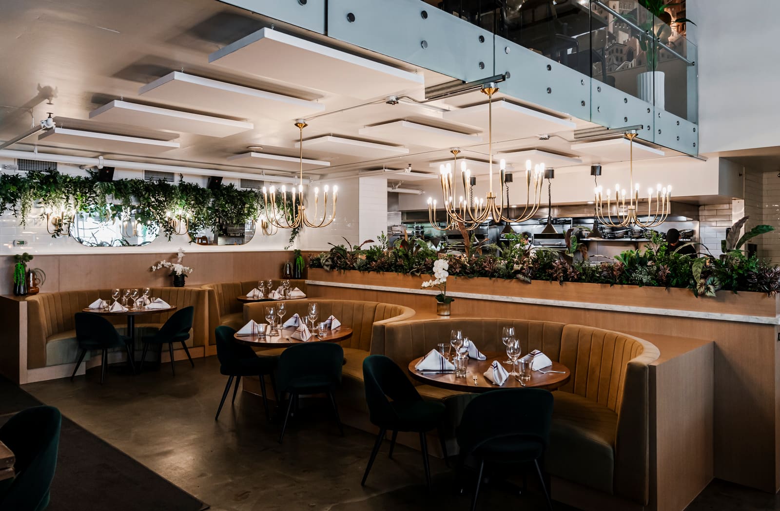 The dining room at Trattoria